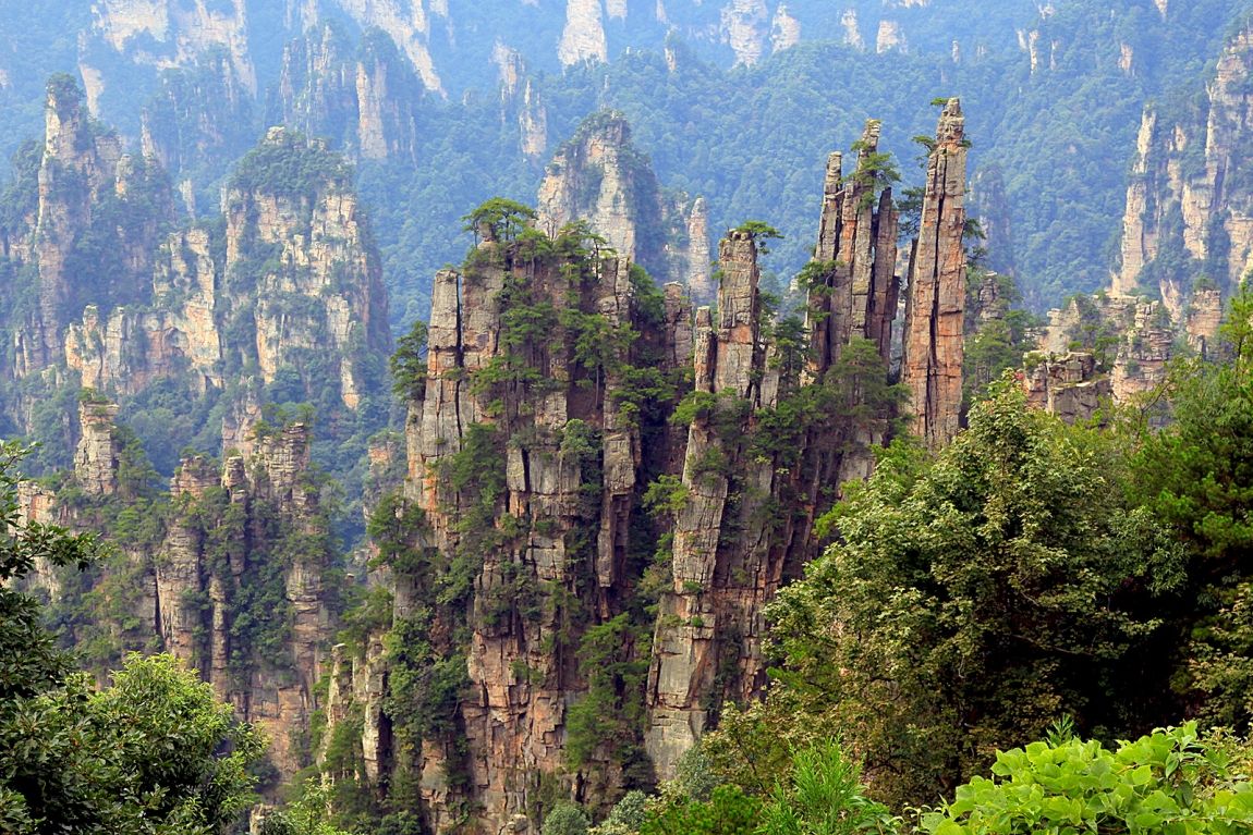 Лесная сказка: топ-10 самых загадочных лесов мира
