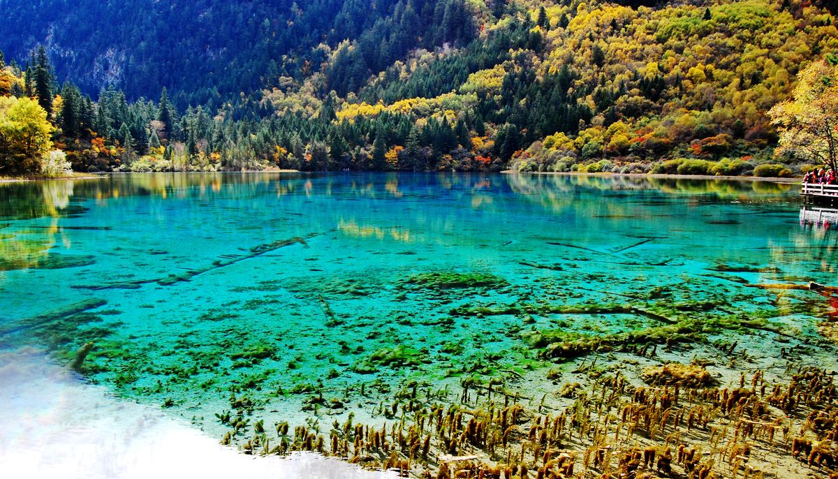 В самом расцвете: топ-10 самых красивых цветных озер