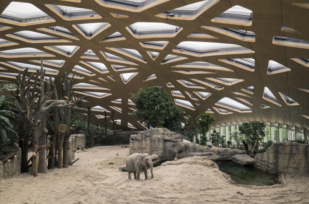 Лучшие зоопарки мира: топ-12 мест, куда следует отправиться