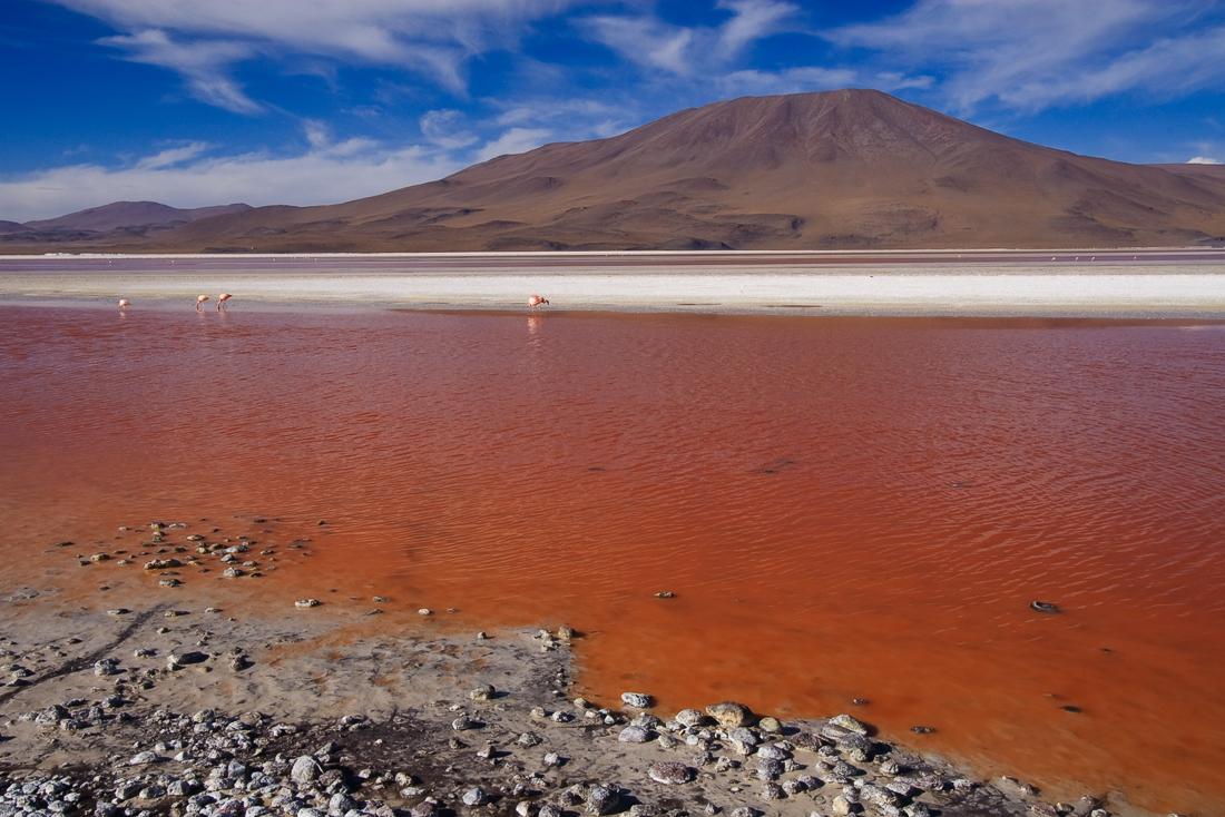 В самом расцвете: топ-10 самых красивых цветных озер