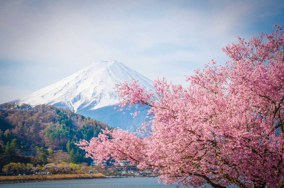 Символ Японии гора Фудзияма