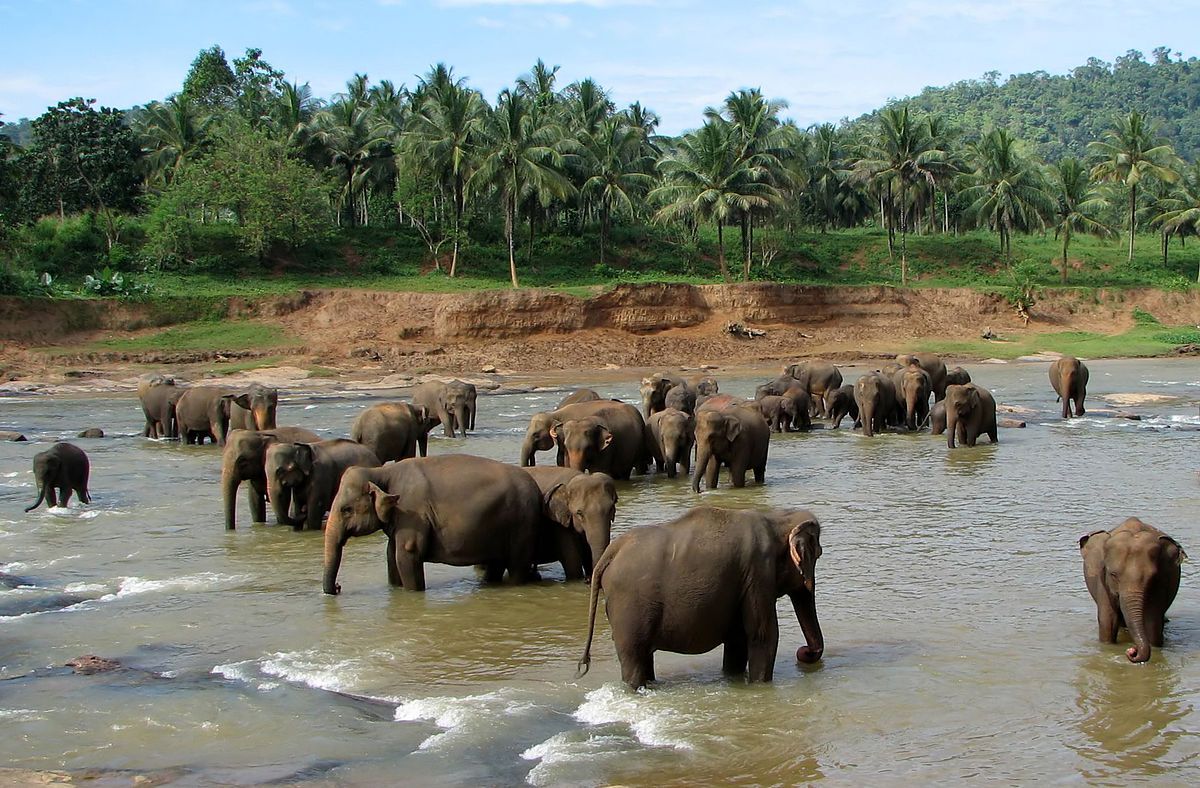 Визитные карточки Шри-Ланки: топ-10 самых интересных мест