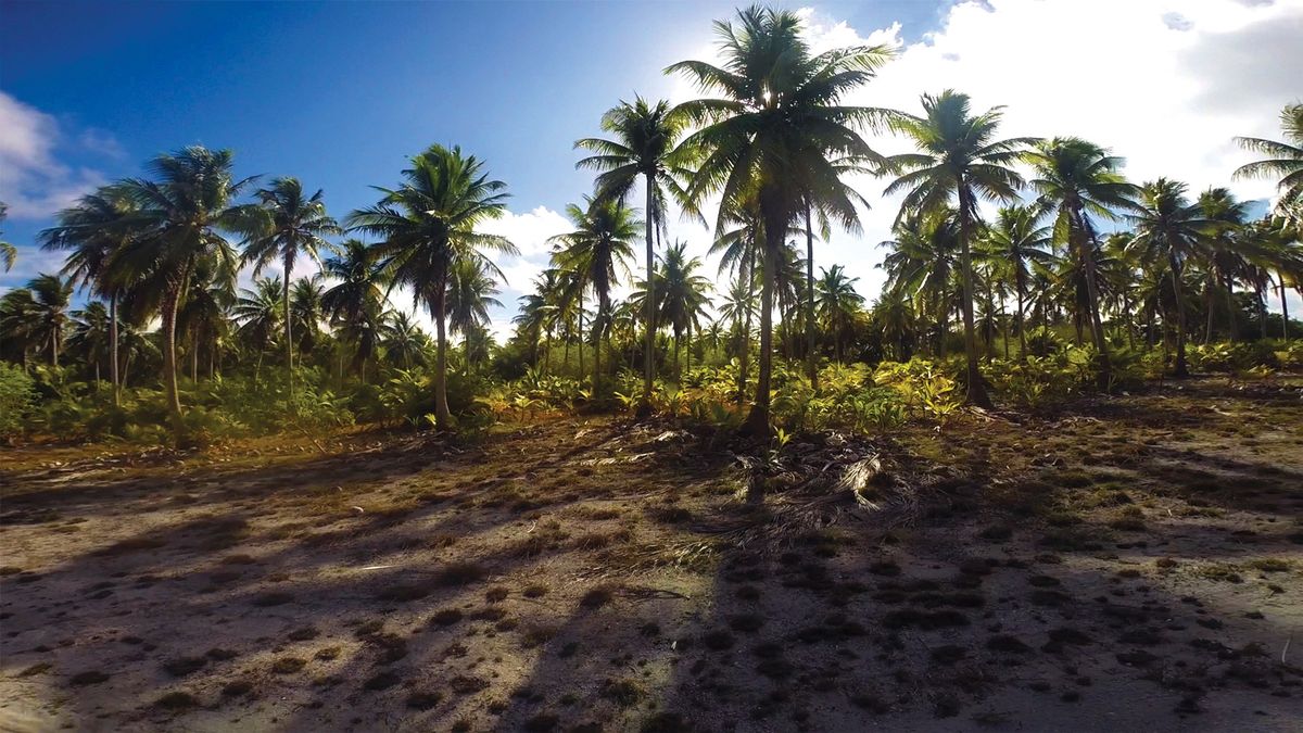 НЕ райское местечко: топ-10 самых опасных островов мира