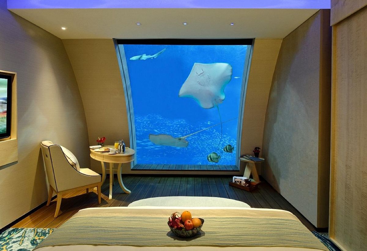 Подводные гостиницы: необычные отели с видом на морских обитателей