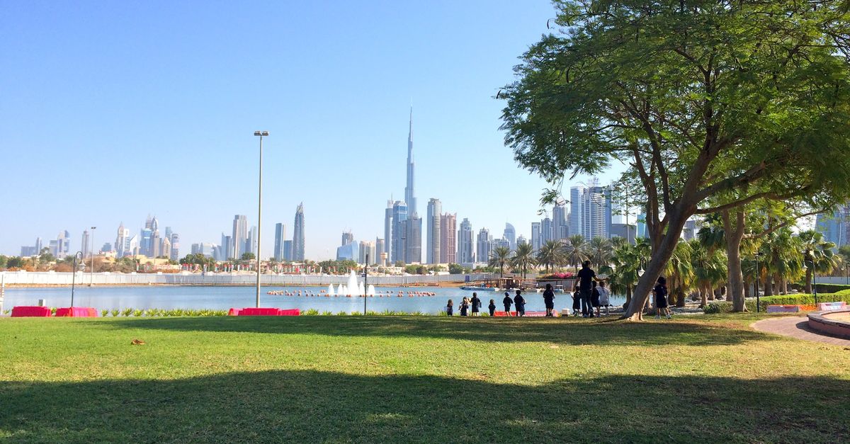 Флора Дубая: 5 лучших садов города, обязательных для посещения туристов