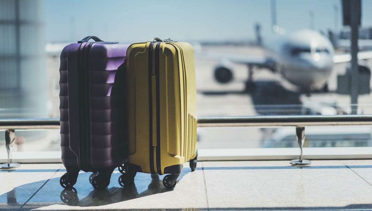 Требования к багажу в самолете: изменения и особенности 2019 года