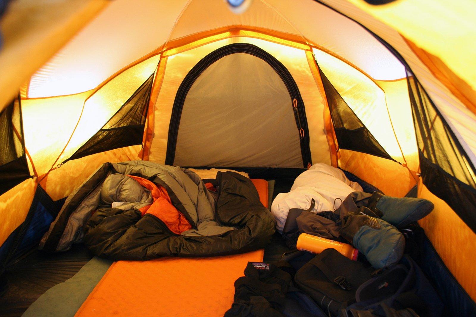 Ночная гостья пришла в палатку